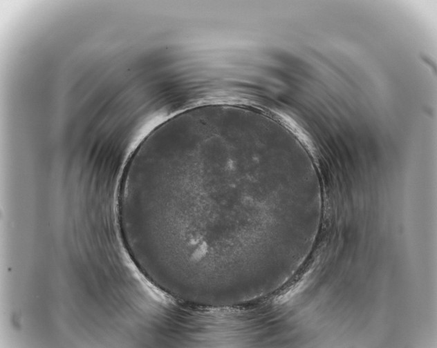 X0000095110803200712141151