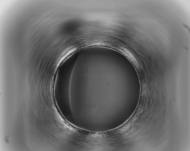 X0000095110806200712141151