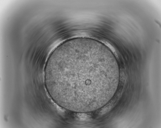 X0000095110807200712141150