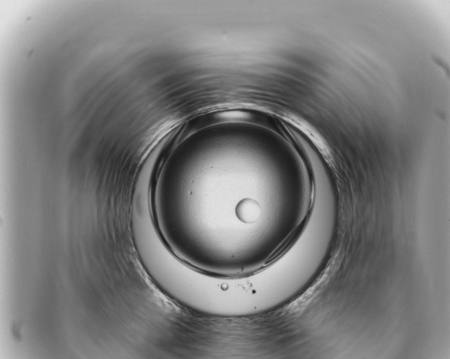 X0000095110809200712141150