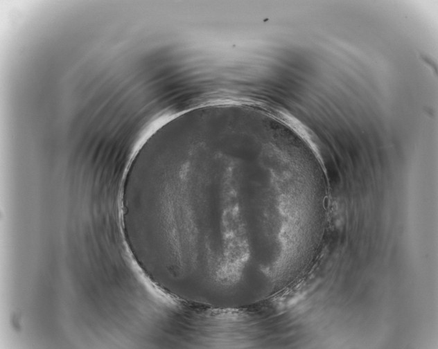 X0000095110811200712141150