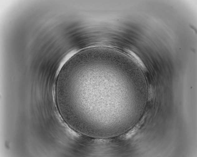 X0000095110812200712141150