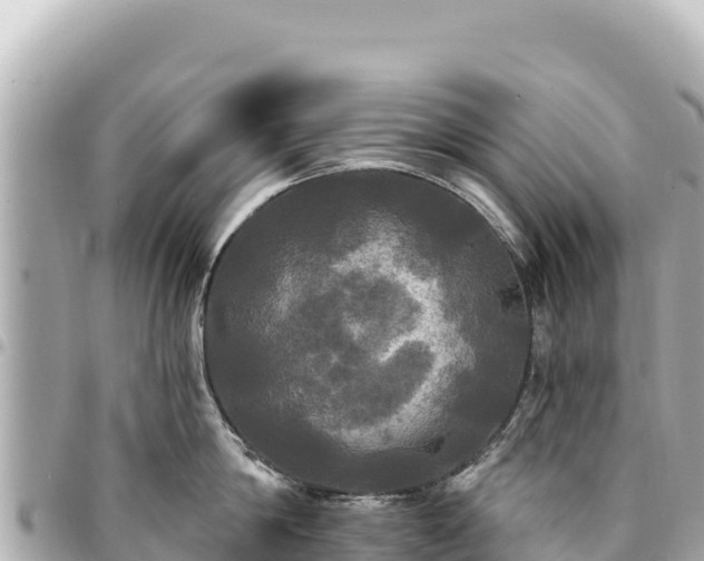 X0000095110814200712141150