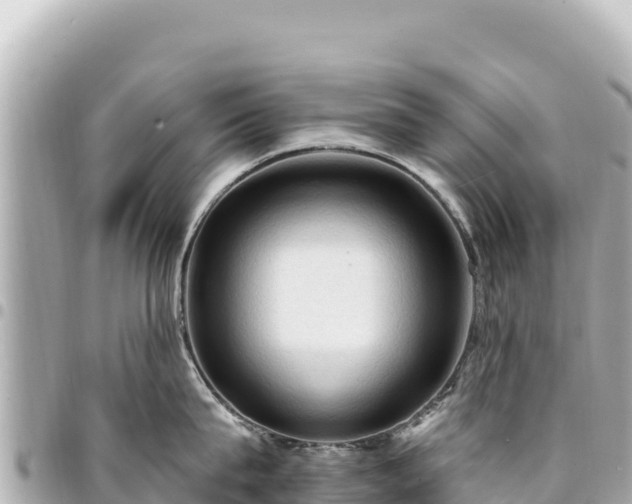 X0000095110815200712141150