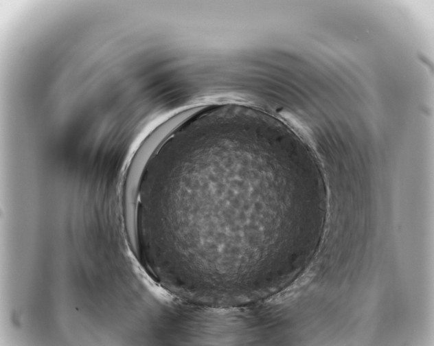 X0000095110816200712141150