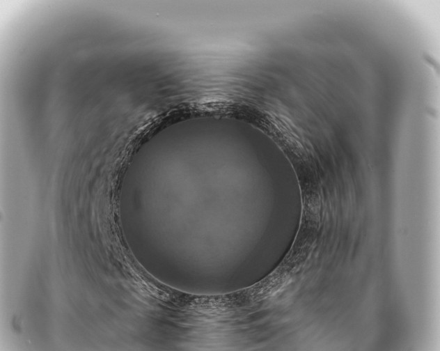 X0000095110817200712141149