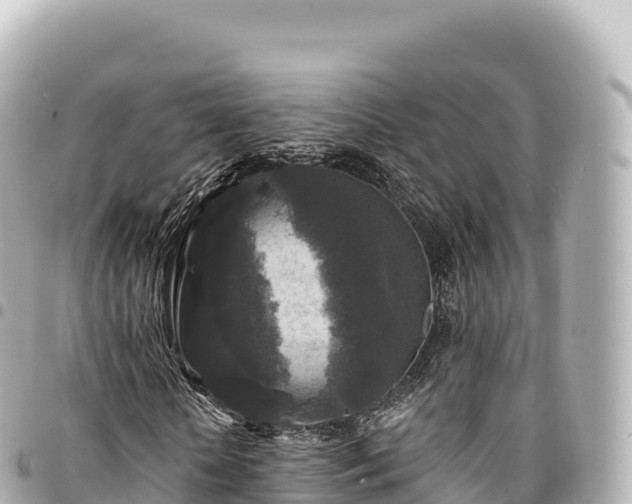 X0000095110818200712141149