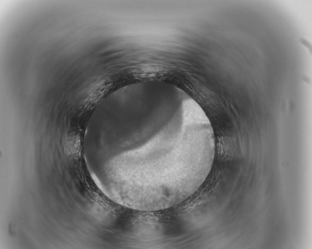 X0000095110820200712141149