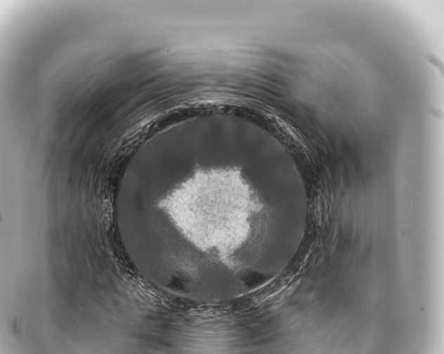 X0000095110821200712141149