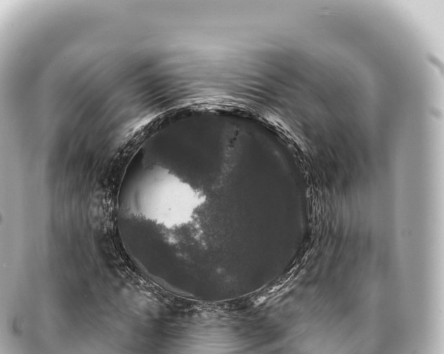 X0000095110822200712141149