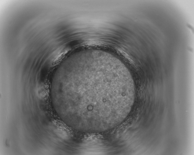 X0000095110824200712141149