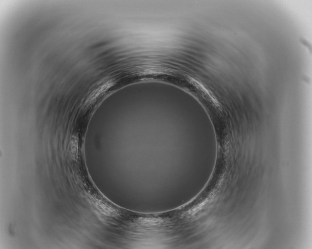 X0000095110825200712141149