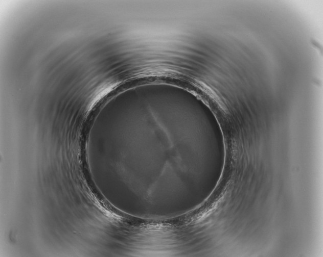 X0000095110826200712141149