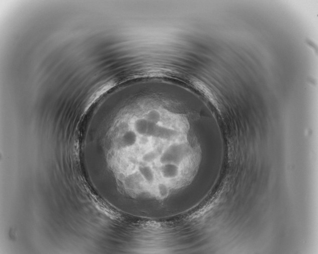 X0000095110827200712141150