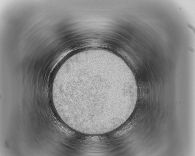 X0000095110828200712141150