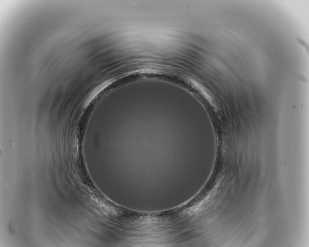 X0000095110829200712141150