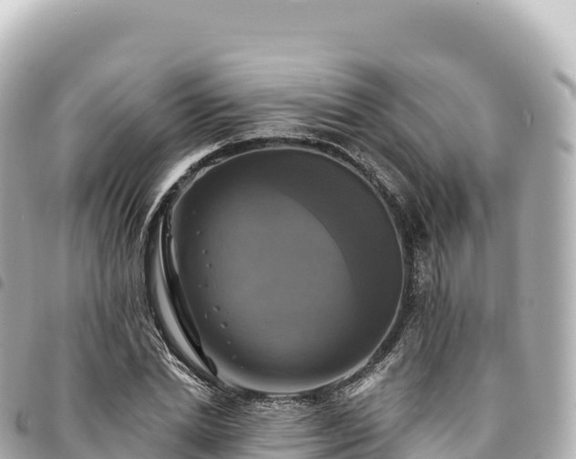 X0000095110830200712141150