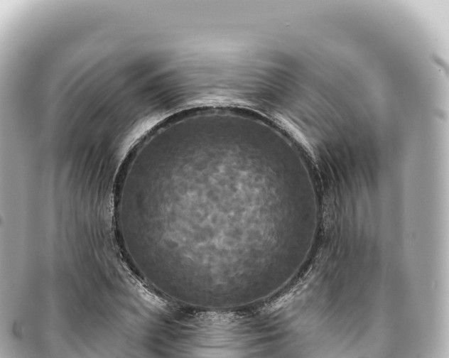 X0000095110831200712141150