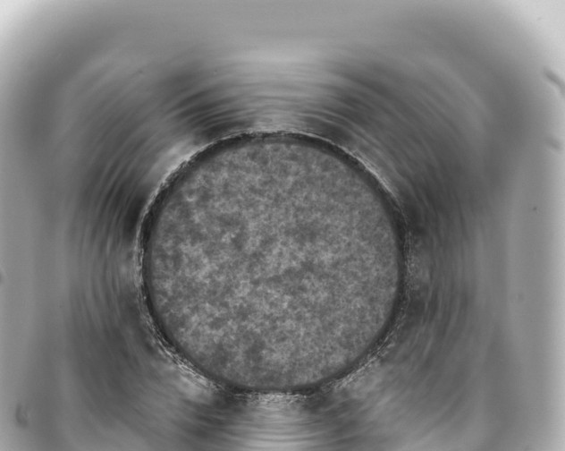 X0000095110832200712141150