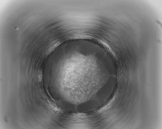 X0000095110833200712141150