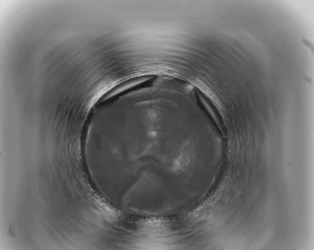 X0000095110834200712141150