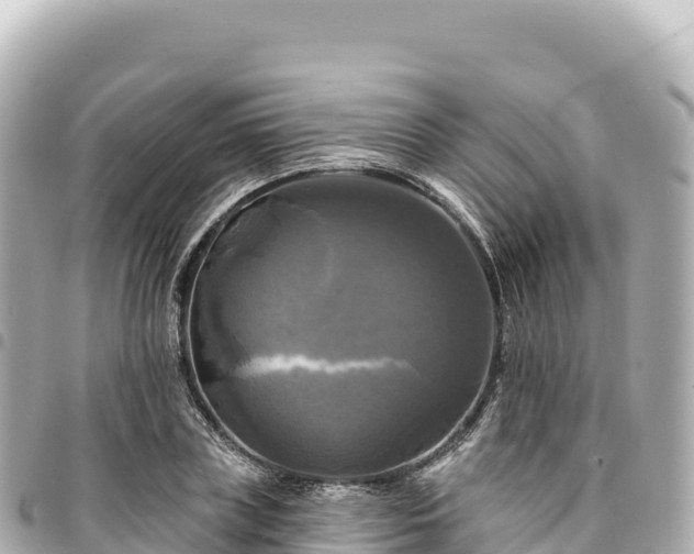 X0000095110835200712141150