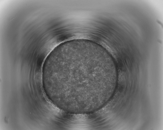 X0000095110836200712141150