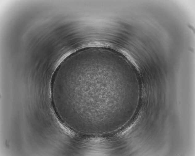 X0000095110837200712141150