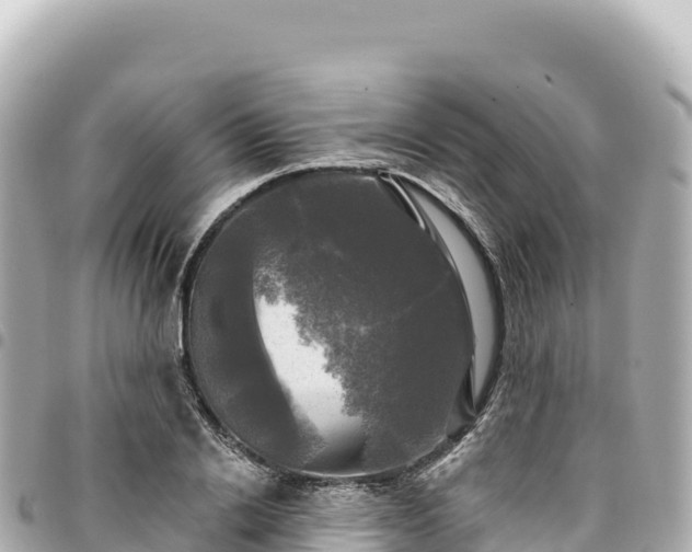 X0000095110838200712141150