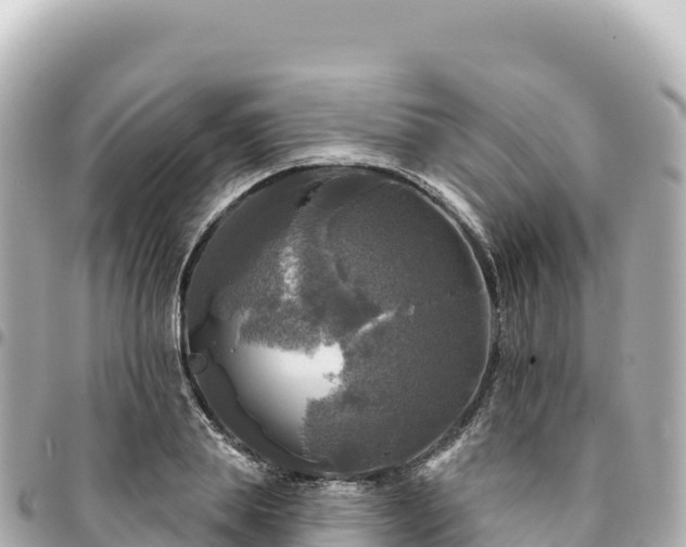 X0000095110839200712141150