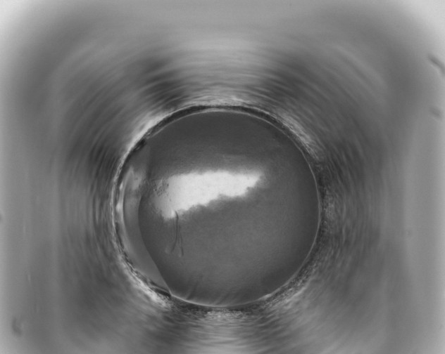 X0000095110840200712141150