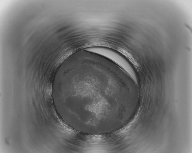 X0000095110841200712141150