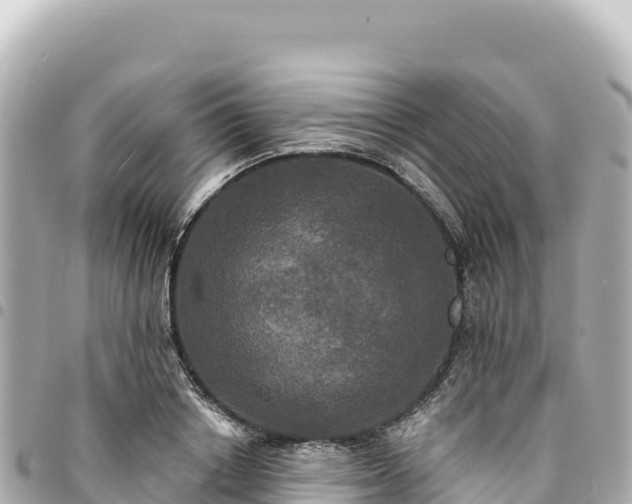 X0000095110842200712141150