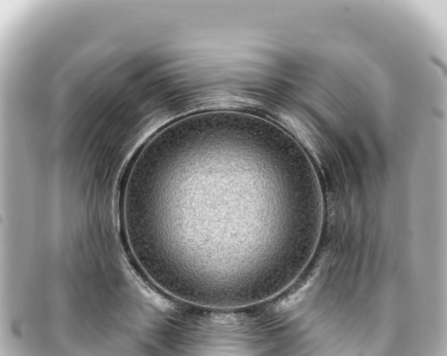 X0000095110843200712141150