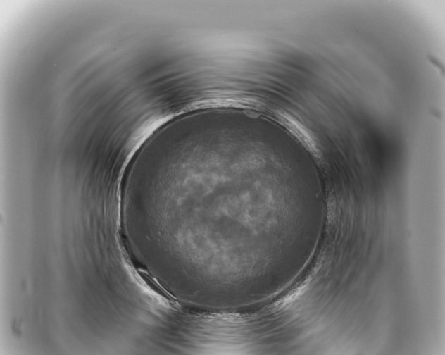 X0000095110844200712141150