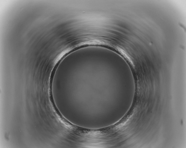 X0000095110845200712141150