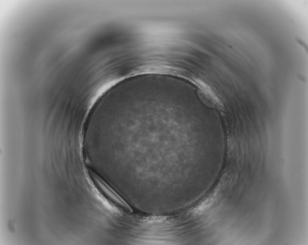 X0000095110846200712141150