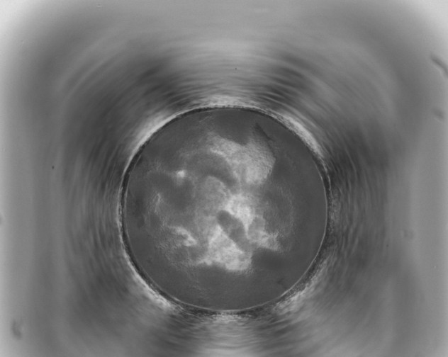 X0000095110847200712141150