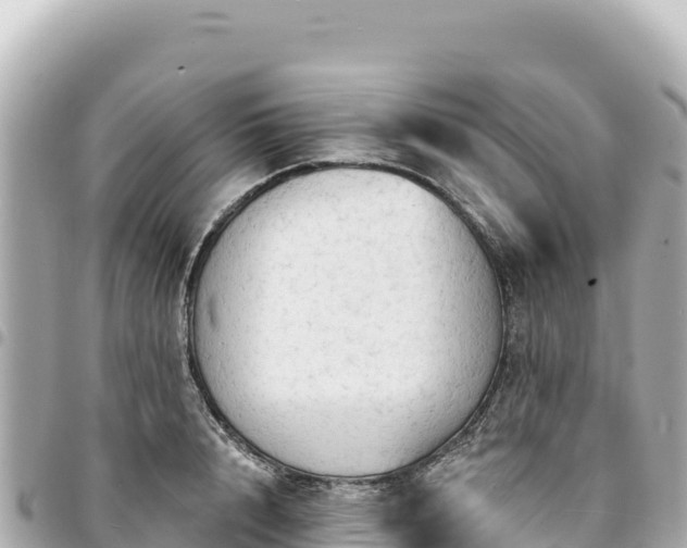 X0000095110848200712141150