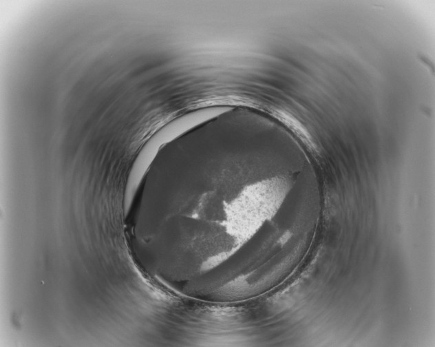 X0000095110849200712141150