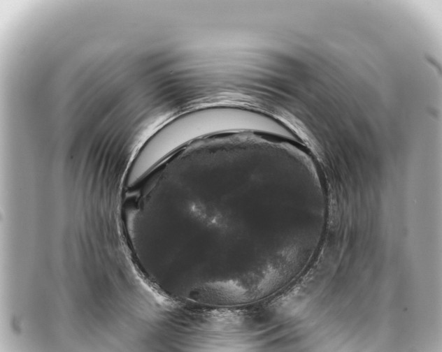 X0000095110850200712141150