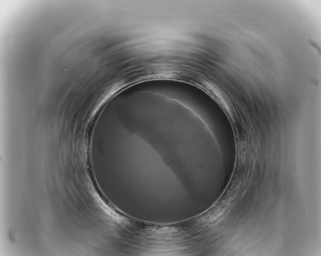 X0000095110851200712141150