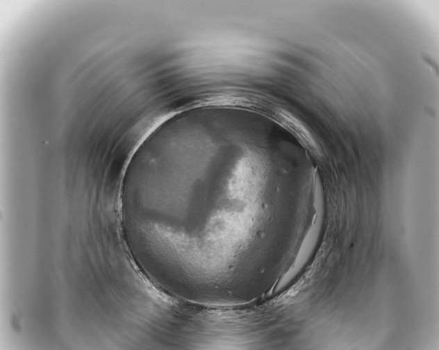 X0000095110852200712141150