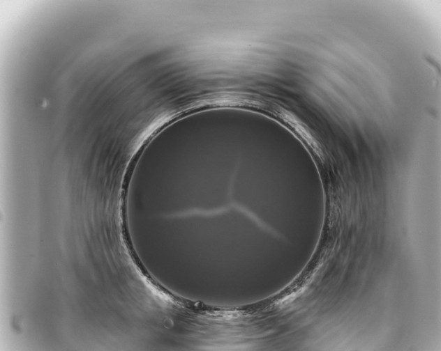 X0000095110853200712141150