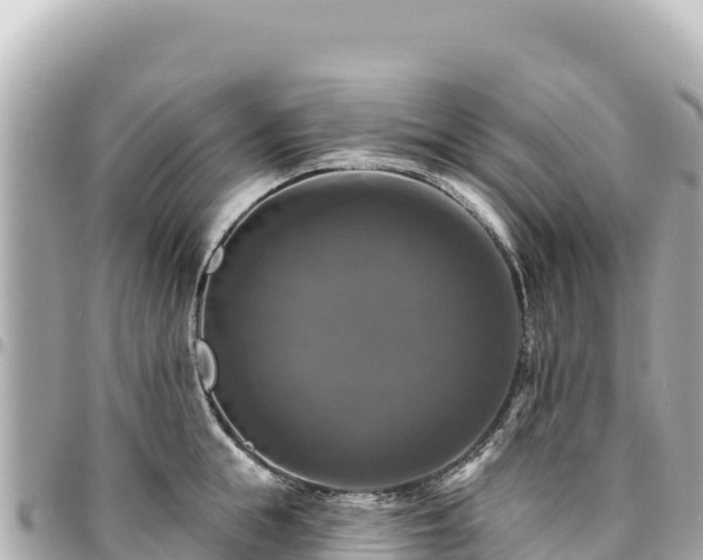 X0000095110855200712141150