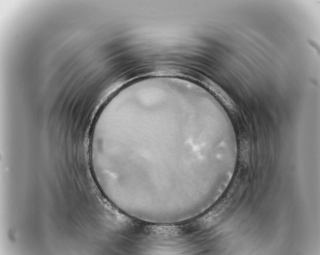 X0000095110856200712141150