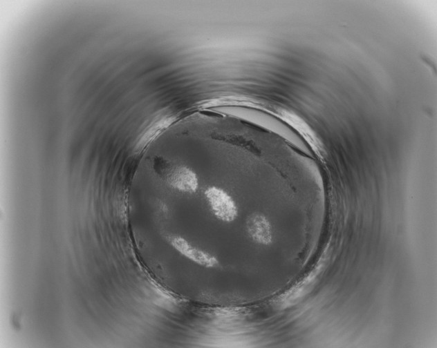 X0000095110857200712141150