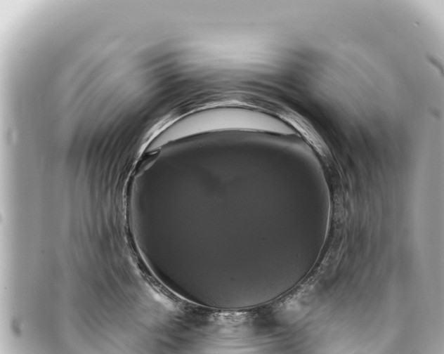 X0000095110858200712141150