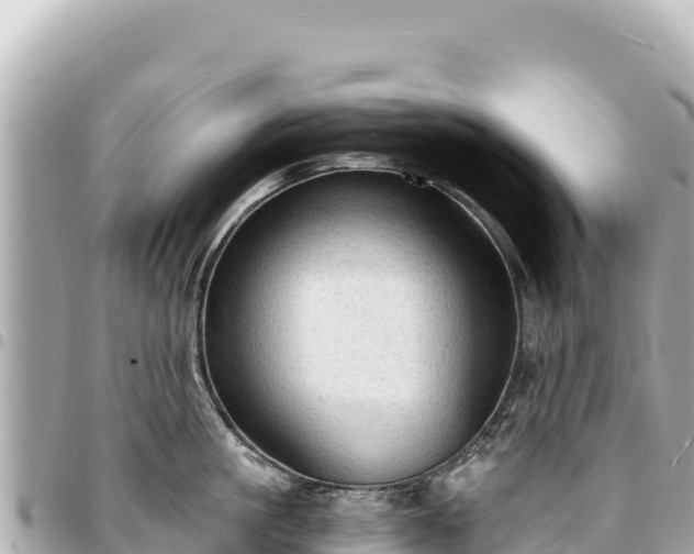 X0000095110861200712141150