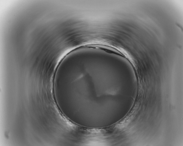 X0000095110862200712141150